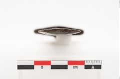 Foto von Eisenantennendolch (NHMW-PRAE-025027)